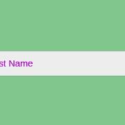 Change input’s placeholder color with CSS