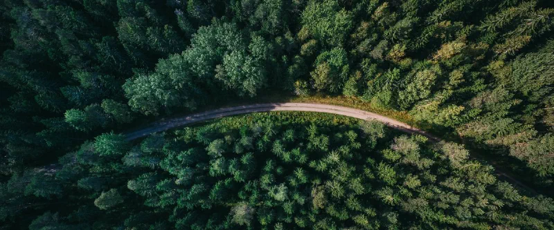Aerial view of a dirt road curving through green forest