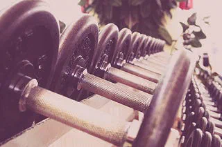 Row of dumbbells on a gym rack