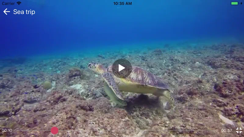 Video player screen showing a sea turtle on a reef, paused at 00:10 of 00:57